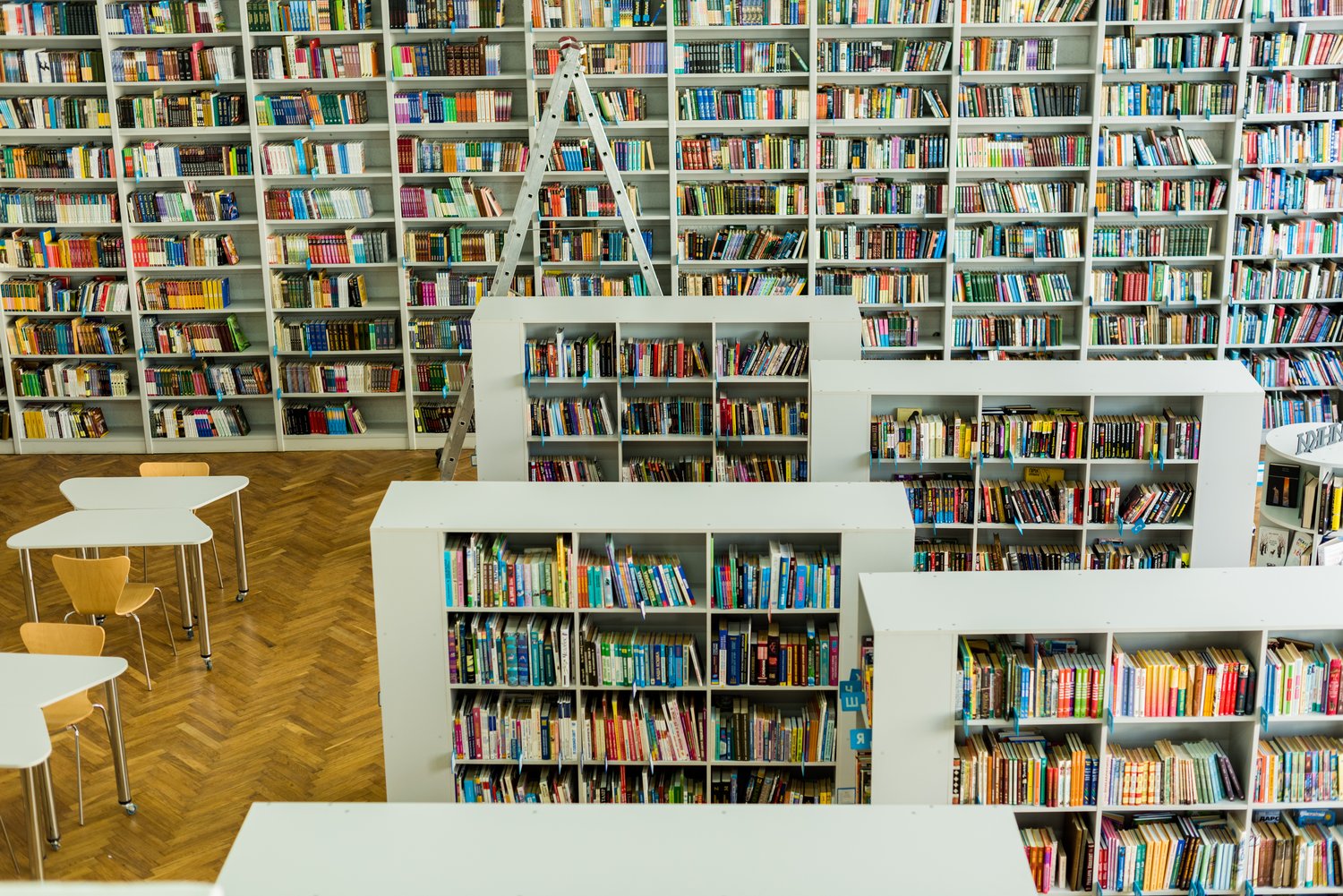 Domowa biblioteka: systemy przechowywania i ekspozycji książek